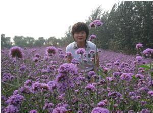 �����йǸɽ�ʦ��2011-2013��������ɺɺ