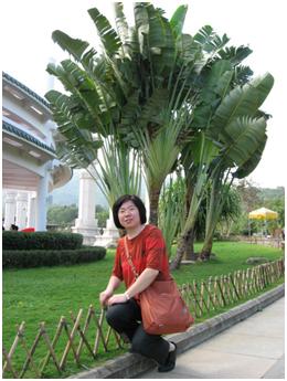 2011-2013�����Ǹɽ�ʦ��������